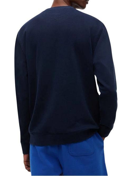 Felpa girocollo con logo Tommy Jeans | DM0DM23392C1G